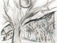grafica (21)